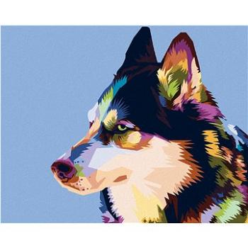 Diamondi - Diamantové malování - BAREVNÝ HUSKY, 40x50 cm, Vypnuté plátno na rám (606146B)