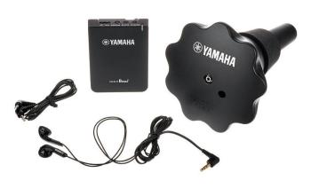 Yamaha SB5X 02