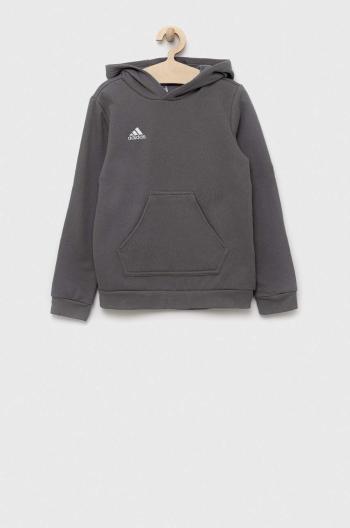 Dětská mikina adidas Performance ENT22 HOODY Y šedá barva, s kapucí, hladká