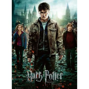 Ravensburger puzzle Harry Potter spolu v boji 300 dílků