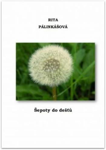 Šepoty do dešťů - Rita Pálinkášová - e-kniha