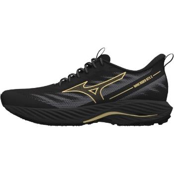 Mizuno WAVE RIDER GTX 2 Pánská běžecká obuv, černá, velikost 42.5