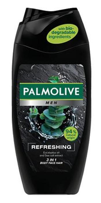 Palmolive Sprchový gel pro muže 3v1 na tělo a vlasy For Men (Refreshing 3 In 1 Body & Hair Shower Shampoo) 500 ml, mlml