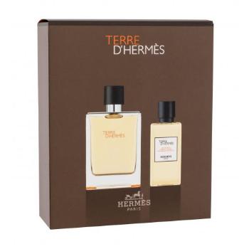 Hermes Terre d´Hermès dárková kazeta toaletní voda 100 ml + sprchový gel 80 ml pro muže