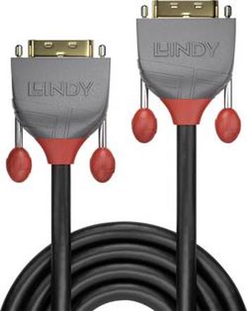 DVI kabel LINDY [1x DVI zástrčka 24+1pólová - 1x DVI zástrčka 24+1pólová] černá 3.00 m