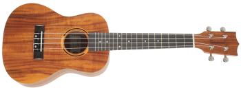 Tanglewood TWT 8 