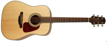 Takamine GD10-NS