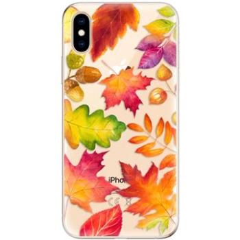 iSaprio Autumn Leaves pro iPhone XS (autlea01-TPU2_iXS)
