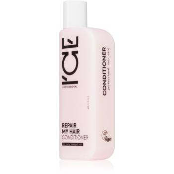 Natura Siberica ICE Professional Repair My Hair hloubkově regenerační kondicionér s keratinem 250 ml