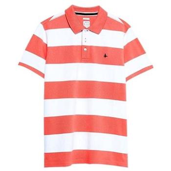 Jack Wills - Pánské Polo Tričko Melcombe Rugby Barva: Vícebarevná, Velikost: XS (553336)