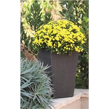 KETER Květináč RATTAN PLANTER S hnědý (228977)