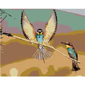 Malování podle čísel - Dva ptáčci na suché větvi (HRAmal00781nad)