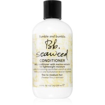 Bumble and bumble Seaweed Conditioner kondicionér pro každodenní použití 250 ml