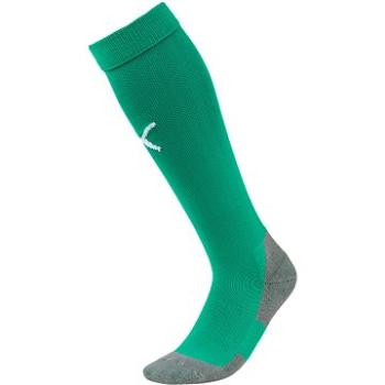 PUMA_Team LIGA Socks CORE zelená/bílá (SPTpumn676nad)