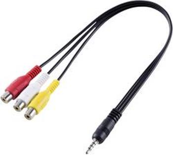 AV audio, video adaptér SpeaKa Professional SP-8433716, černá