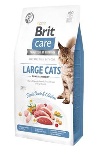 BRIT CARE cat GF  LARGE cats power/vitality - 400g / expirace 5.7.2023