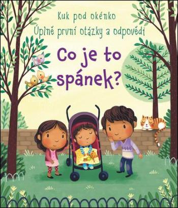 Co je to spánek? - Daynes Katie