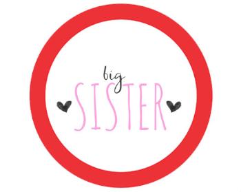 Samolepky zákaz - 5ks Big sister