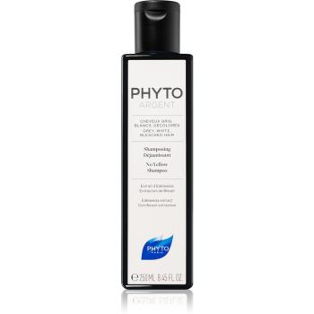 Phyto Phytargent šampon pro šedivé vlasy 250 ml