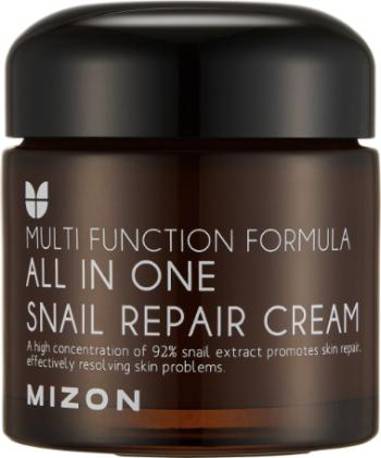 Mizon All In One Snail Repair, Krém na vrásky a problematickou pleť 75 ml