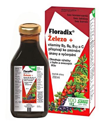 Salus Floradix 500 ml