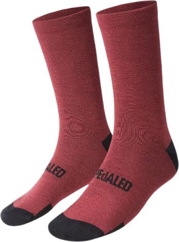 PEdALED Essential Merino Socks - sun-dried tomato 47-49