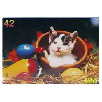 SPEZET - Kočka v květináči 42d (8711147134450)