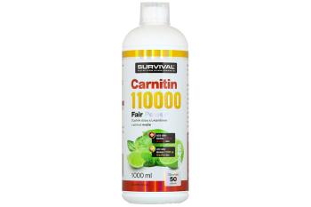 Survival Carnitin 110000 Fair Power 1000 ml mojito