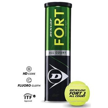 Dunlop Fort all court TS  (5013317102355)