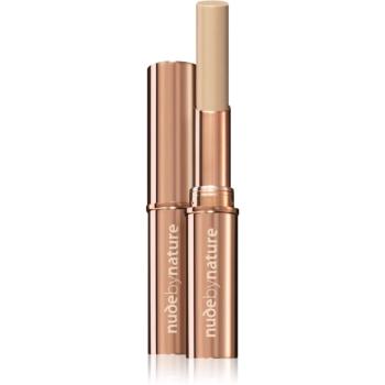 Nude by Nature Flawless dlouhotrvající korektor odstín 04 Rose Beige 2,5 g