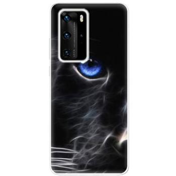 iSaprio Black Puma pro Huawei P40 Pro (blapu-TPU3_P40pro)