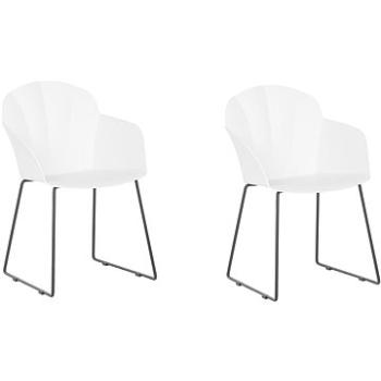 Sada 2 bílých jídelních židlí SYLVA, 241895 (beliani_241895)