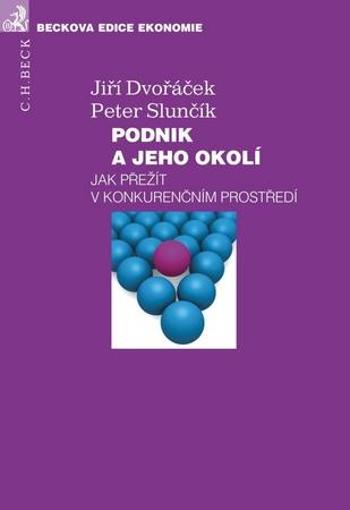 Podnik a jeho okolí - Slunčík Peter