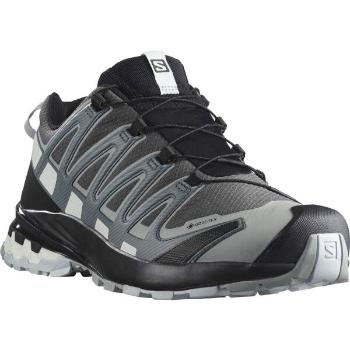 Salomon XA PRO 3D V8 GTX Pánská trailová obuv, šedá, velikost 43 1/3