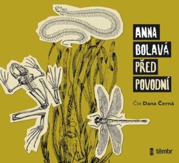 Před povodní - Anna Bolavá - audiokniha