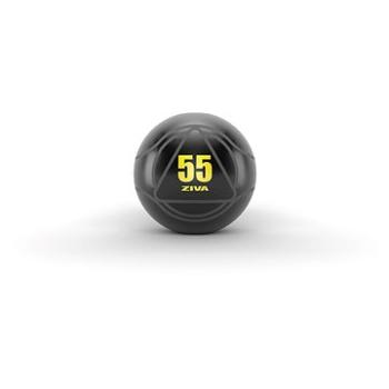 ZIVA gymnastický míč 55 cm, černý (EPS-CFYB-0055-BK)