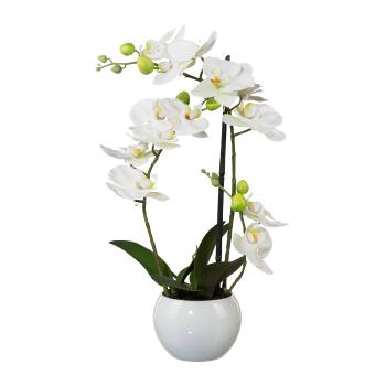 Umělá Orchidej v květináči, 42 cm