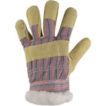 Canis Zimní kombinované pracovní rukavice ZORO WINTER - 11