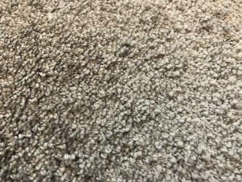 Vopi koberce  60x210 cm Metrážový koberec Capri taupe -  s obšitím  Béžová