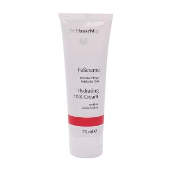 Dr. Hauschka Hydrating Foot Cream 75 ml krém na nohy pro ženy