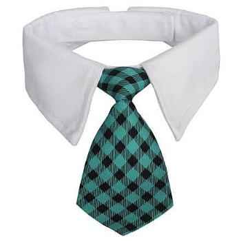 Gentledog kravata pro psy tyrkysová Velikost oblečení: L