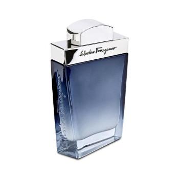 Salvatore Ferragamo Subtil Pour Homme 50 ml toaletní voda pro muže