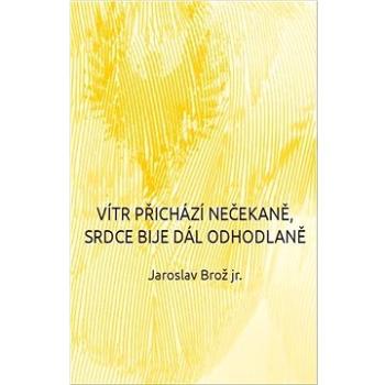 Vítr přichází nečekaně, srdce bije dál odhodlaně (978-80-278-0014-8)