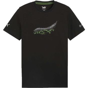 Puma MERCEDES-AMG PETRONAS F1 ESSENTIALS CAR GRAPHIC TEE Pánské triko, černá, velikost