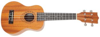 Tanglewood TWT 1