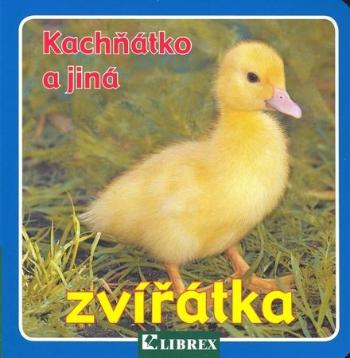 Kachňátko a jiná zvířátka