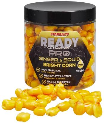 Starbaits kukuřice bright ready seeds 250 ml - pro ginger squid