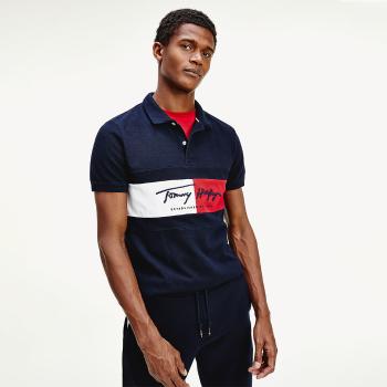 Tommy Hilfiger pánské modré polo Autograph - L (DW5)