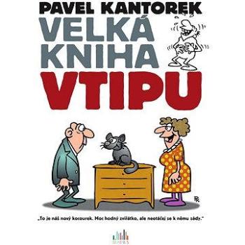 Velká kniha vtipu (978-80-247-5745-2)