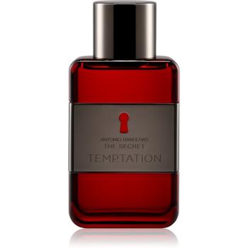 Antonio Banderas The Secret Temptation toaletní voda pro muže 50 ml